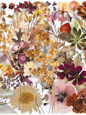 Dried Flower Specimen Stickers (50 pcs)