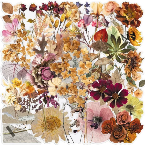Dried Flower Specimen Stickers (50 pcs)